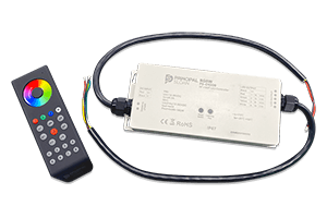 Simple Controllers - Principal Services